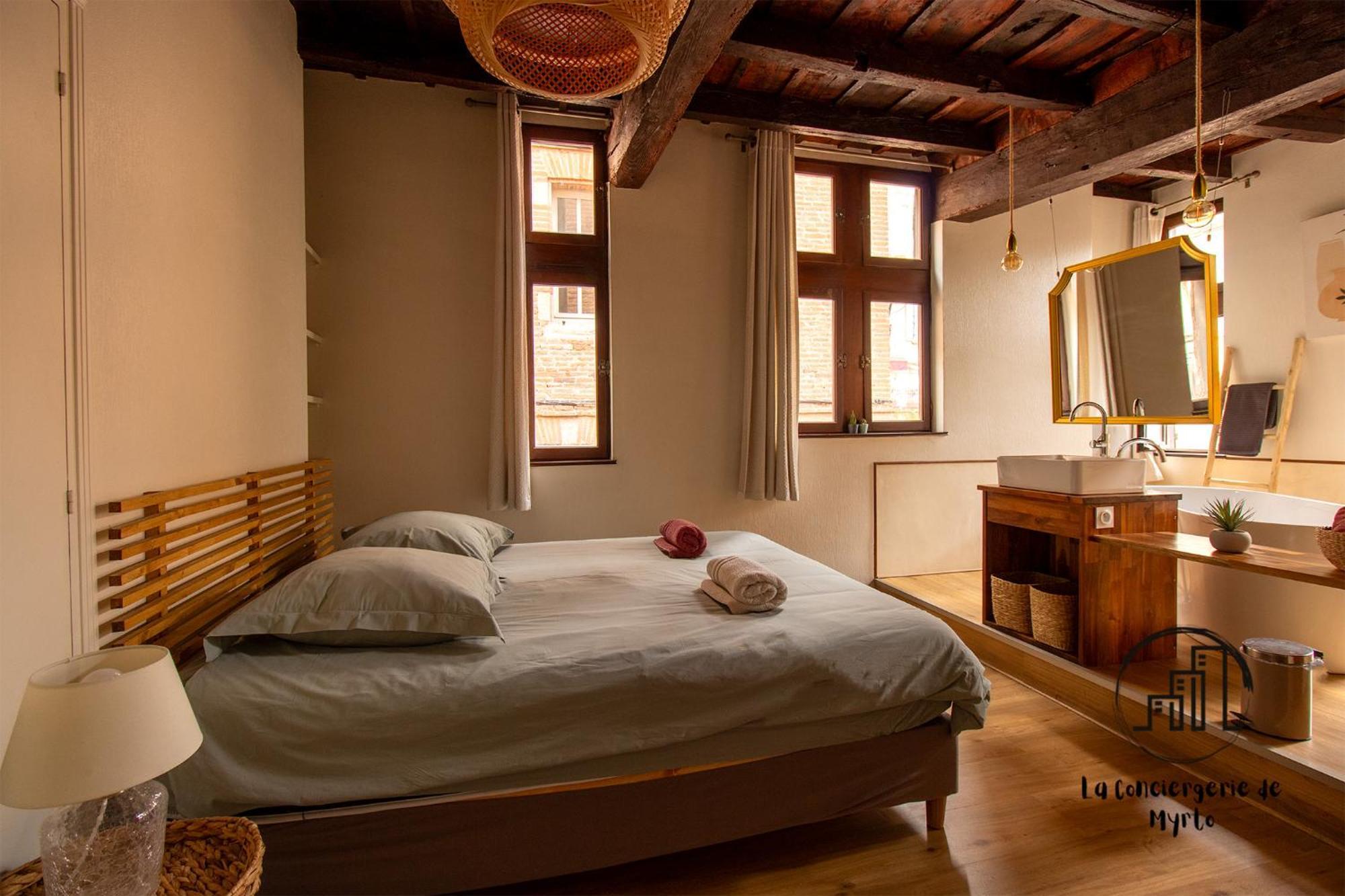 Sous Les Toits De Sainte-Cecile Villa Алби Екстериор снимка